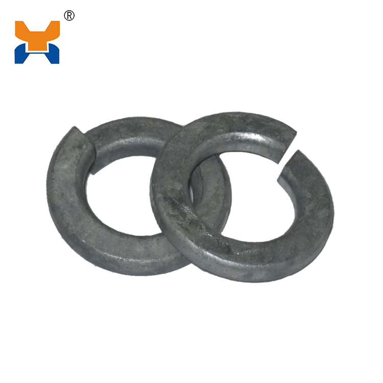 Single Coil Spring Washer